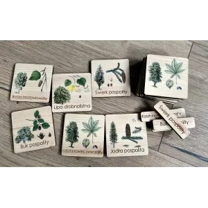 Karty trójdzielne mini DRZEWA