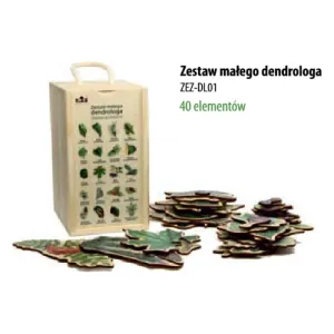 Zgadnij z jakiego to drzewa? Zaskakująca gra dla miłośników p