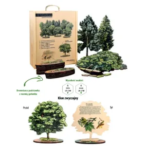 Makiety drewniane drzewa