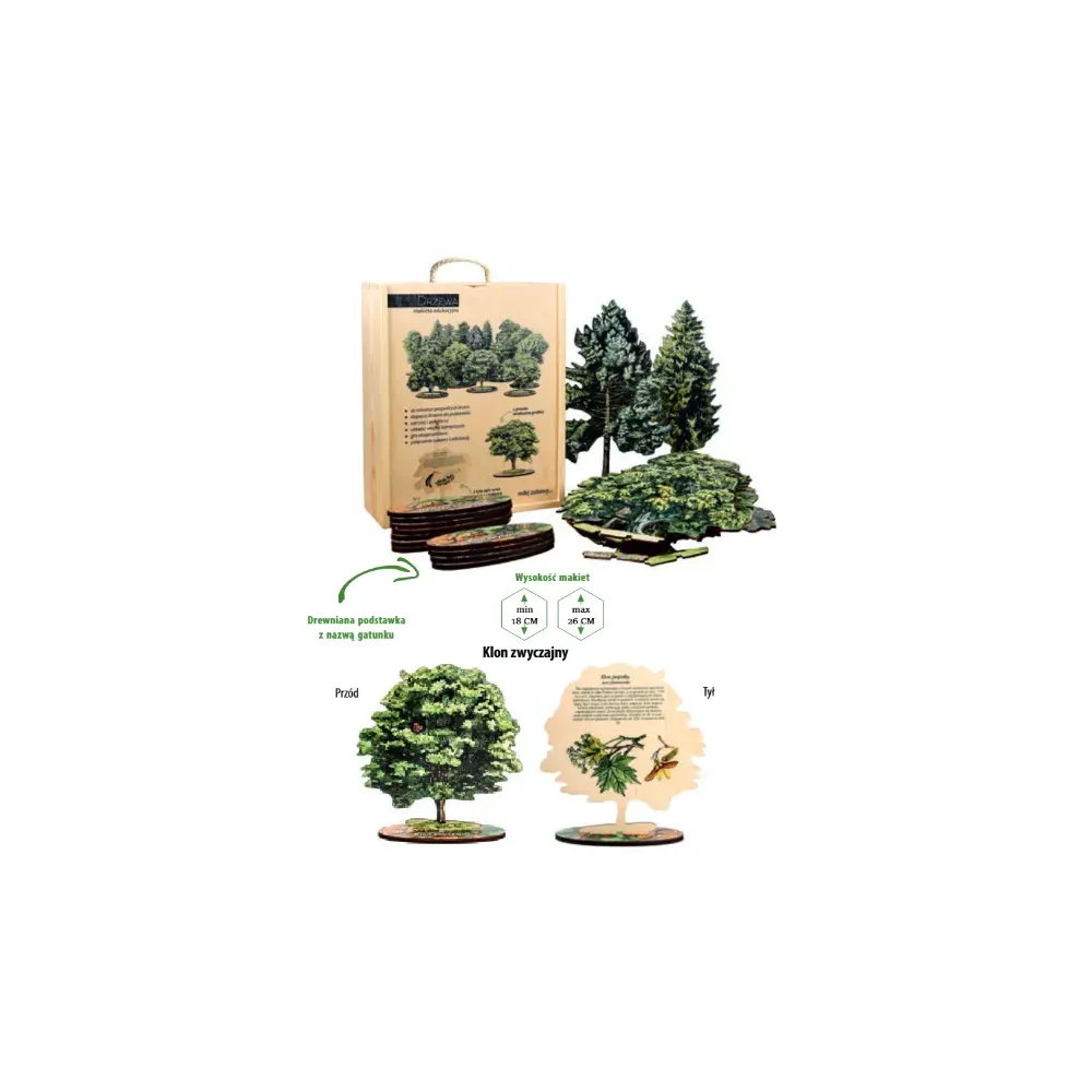 Makiety drewniane drzewa