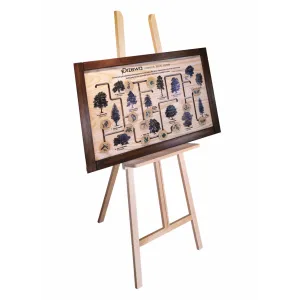 Sztaluga do ekspozycji kolor naturalny, buk