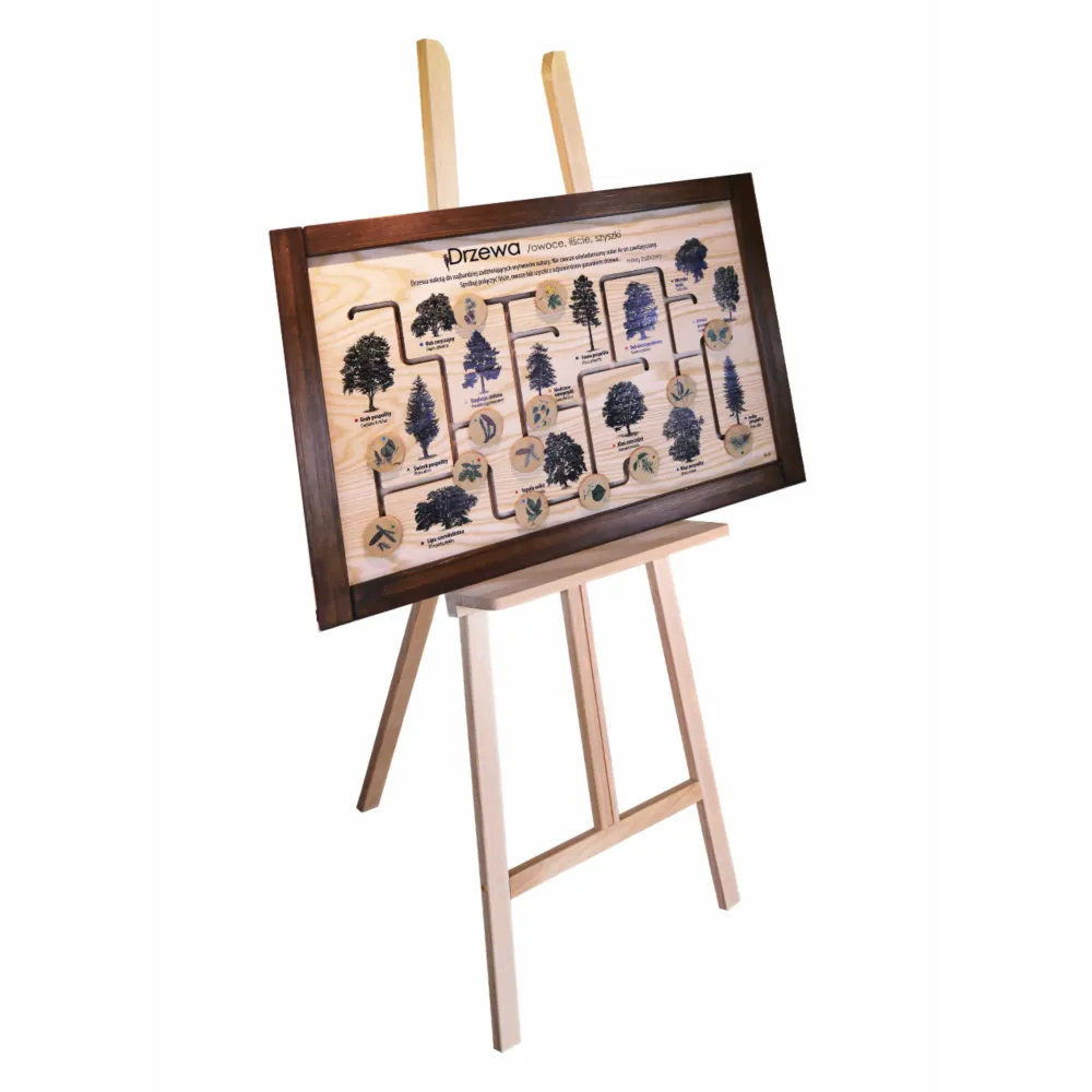 Sztaluga do ekspozycji kolor naturalny, buk