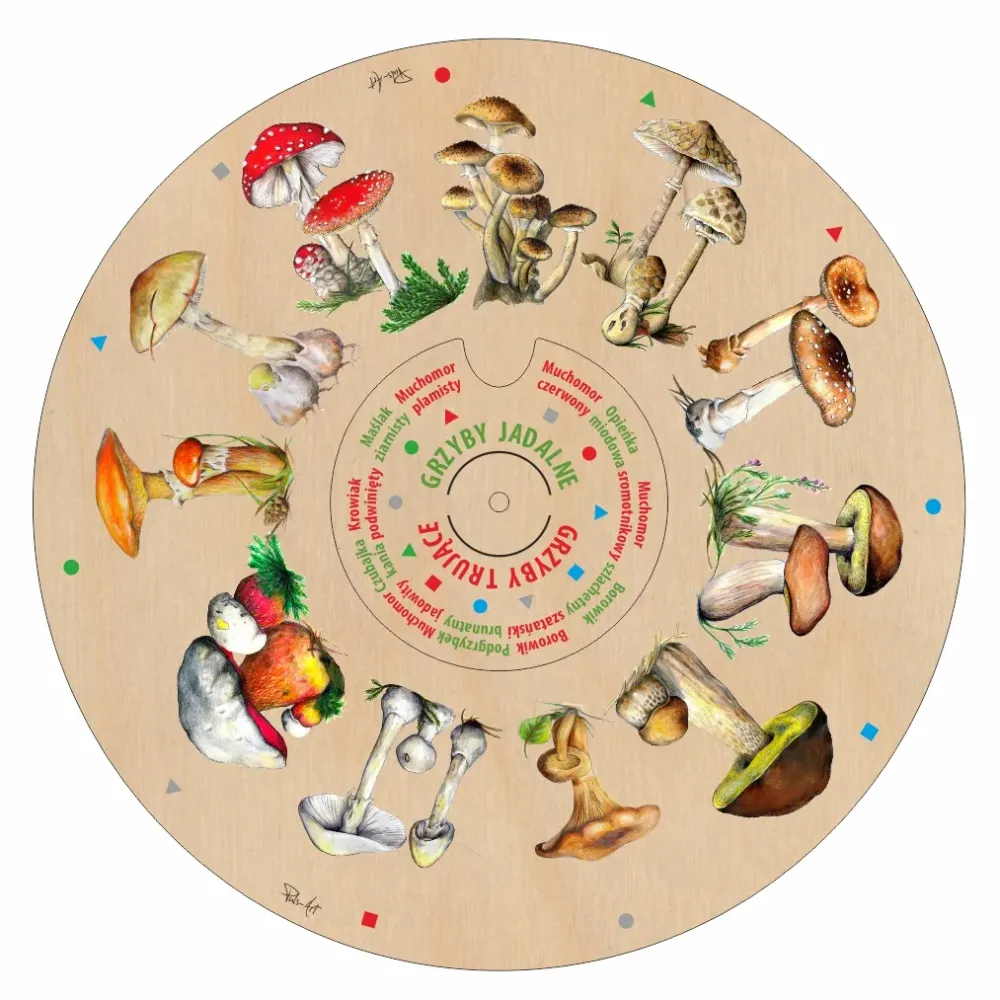 Dopasuj na kole GRZYBY