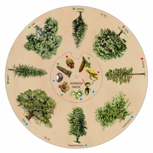 Dopasuj na kole OWOC