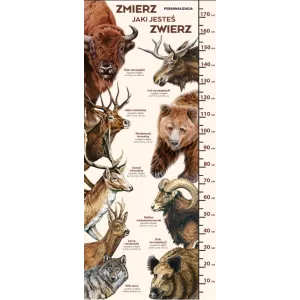 Miarka wzrostu Zmierz jaki jesteś zwierz!