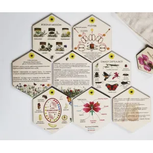 Zestaw edukacyjny ŚWIAT wg. PSZCZOŁY