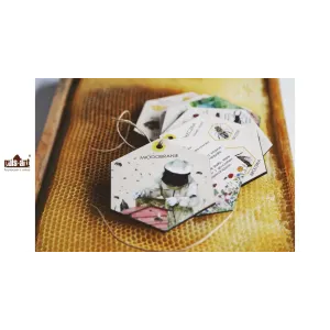 Zestaw edukacyjny ŚWIAT wg. PSZCZOŁY