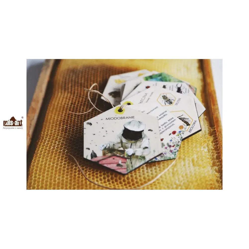 Zestaw edukacyjny ŚWIAT wg. PSZCZOŁY