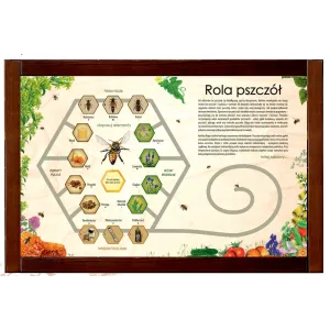 Łamigłówka przyrodnicza ROLA PSZCZÓŁ