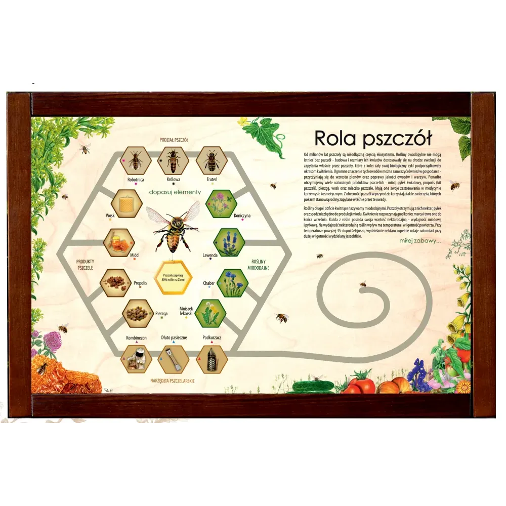 Łamigłówka przyrodnicza ROLA PSZCZÓŁ