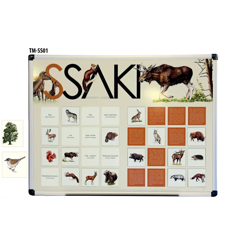 Tablica magnetyczna SSAKI