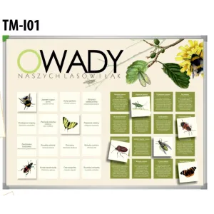 Tablica magnetyczna OWADY