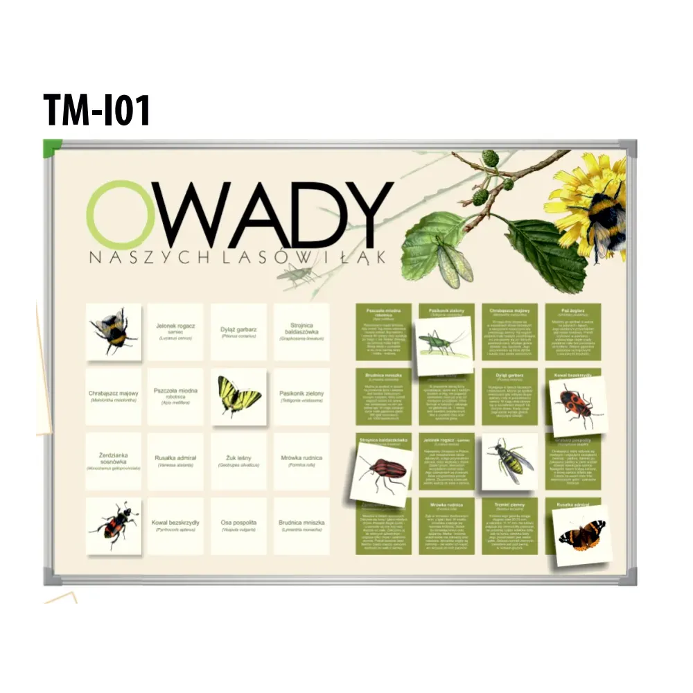 Tablica magnetyczna OWADY