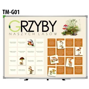 Tablica magnetyczna GRZYBY