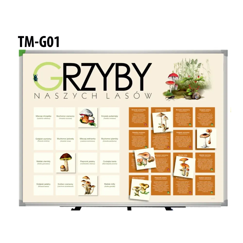 Tablica magnetyczna GRZYBY
