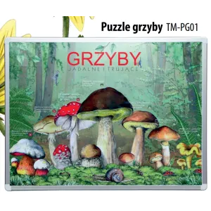 Puzzle magnetyczne GRZYBY
