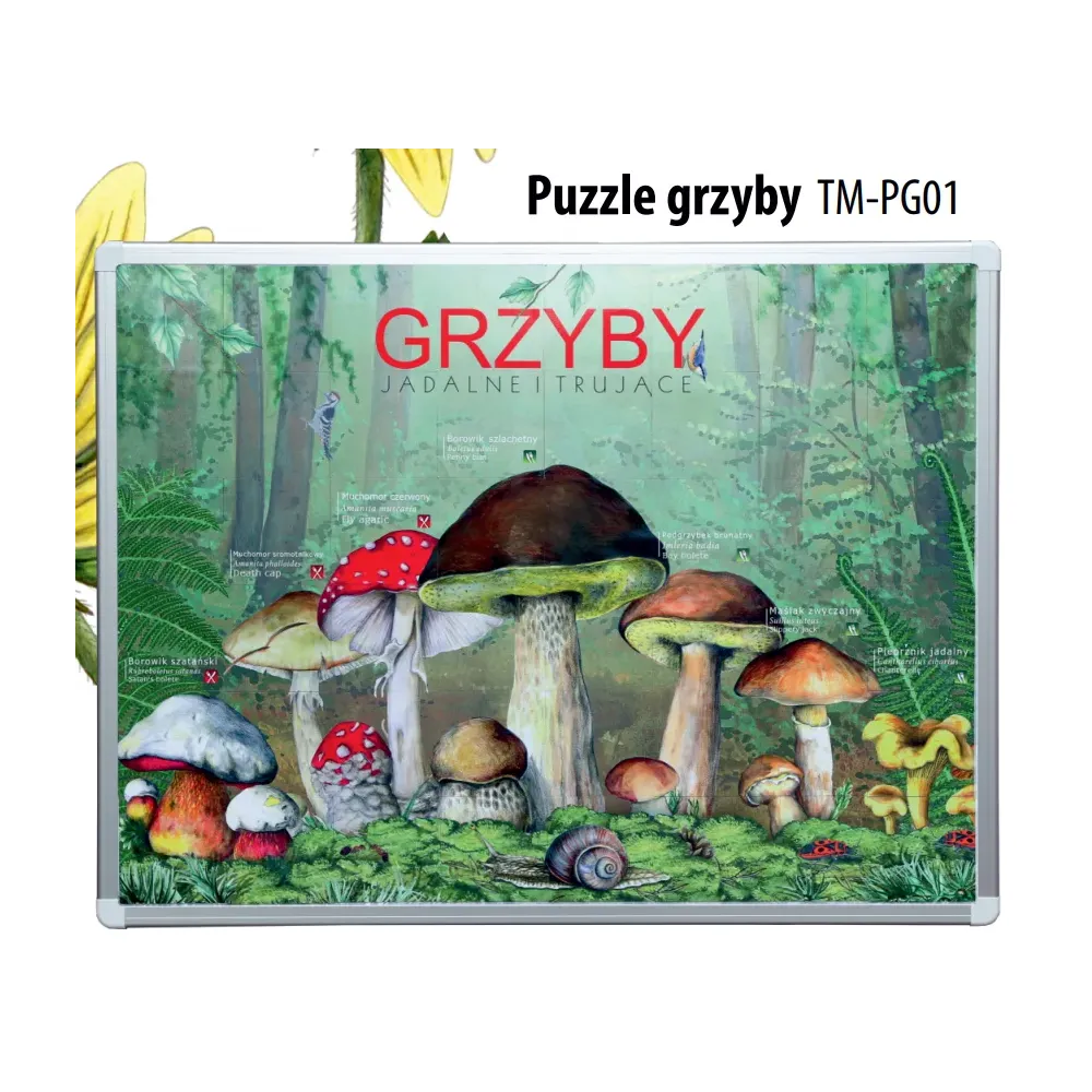 Puzzle magnetyczne GRZYBY
