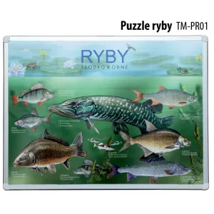 Puzzle magnetyczne RYBY