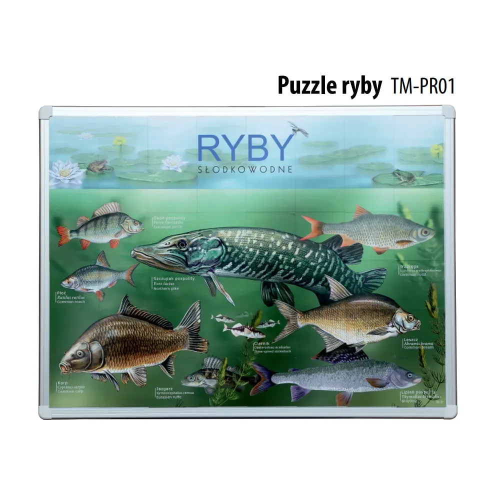 Puzzle magnetyczne RYBY