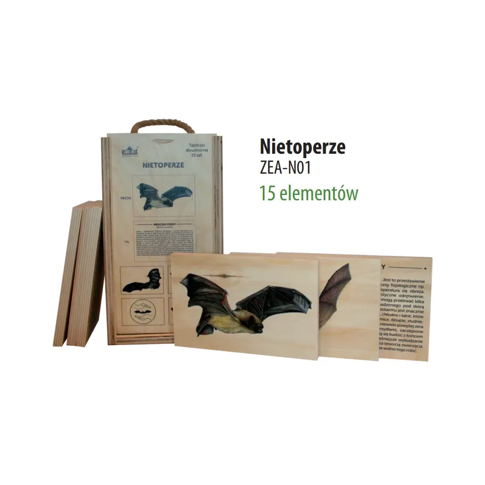 Zestaw edukacyjny ABC - NIETOPERZE