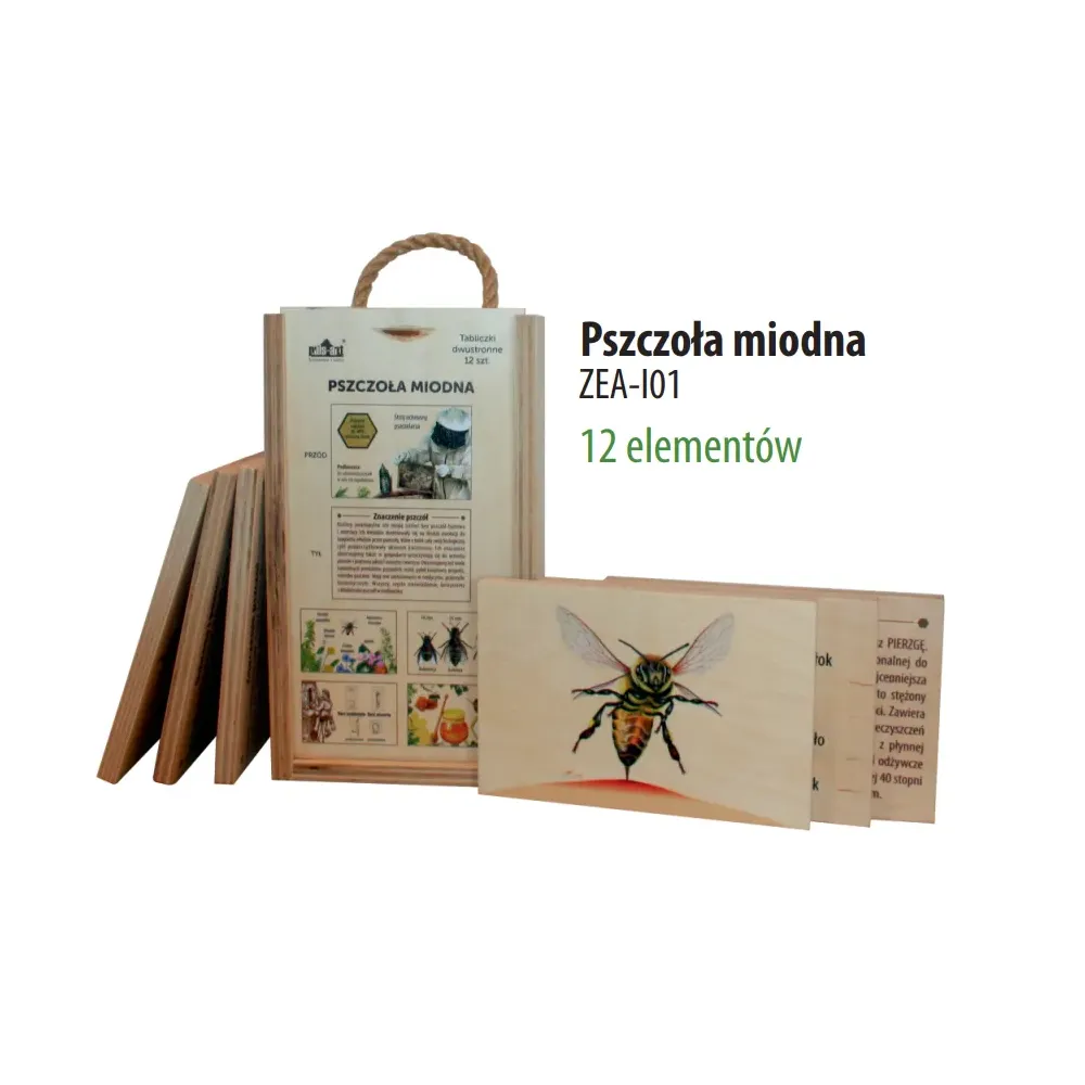 Zestaw edukacyjny ABC - PSZCZOŁA MIODNA