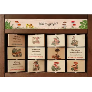 Zestaw Interaktywny WEWNĘTRZNY -  JAKI TO GRZYB?