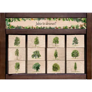 Zestaw interaktywny WEWNĘTRZNY - JAKIE TO DRZEWO? (bez przekroi)