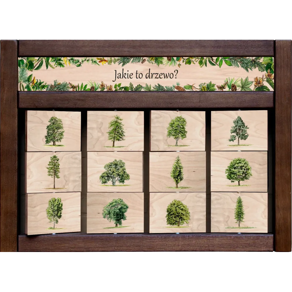 Zestaw interaktywny WEWNĘTRZNY - JAKIE TO DRZEWO? (bez przekroi)