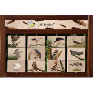 Zestaw interaktywny WEWNĘTRZNY - JAKI TO PTAK?