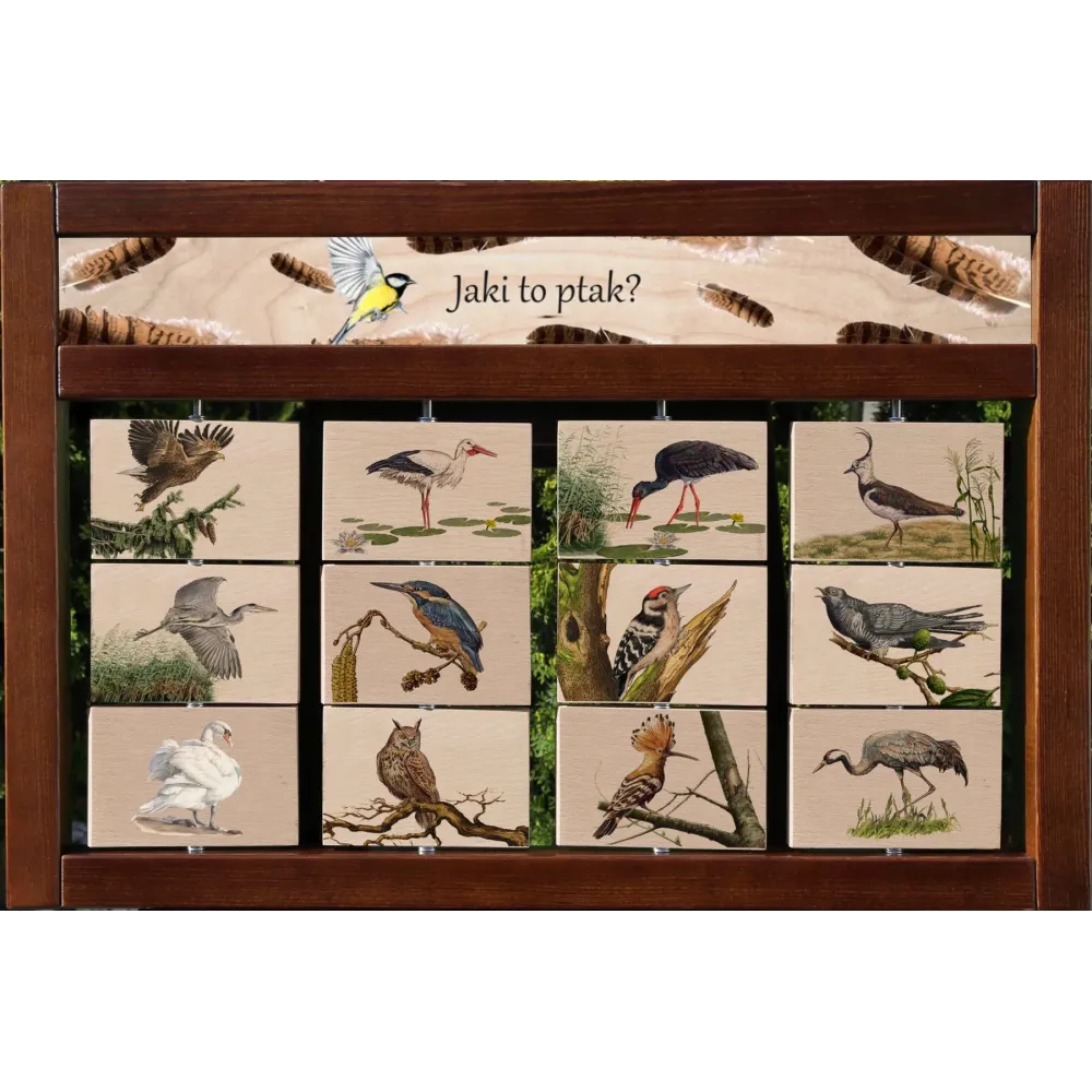 Zestaw interaktywny WEWNĘTRZNY - JAKI TO PTAK?