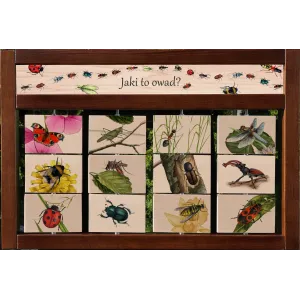 Zestaw interaktywny WEWNĘTRZNY - JAKI TO OWAD?