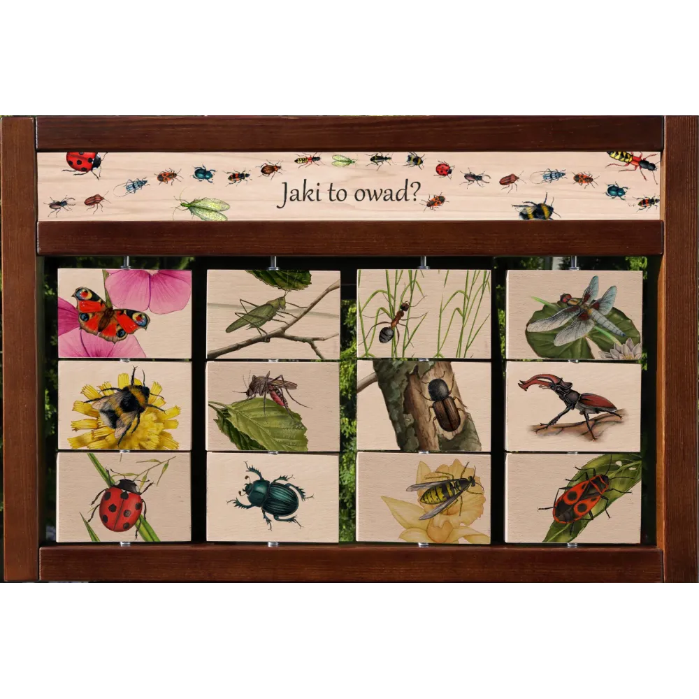 Zestaw interaktywny WEWNĘTRZNY - JAKI TO OWAD?