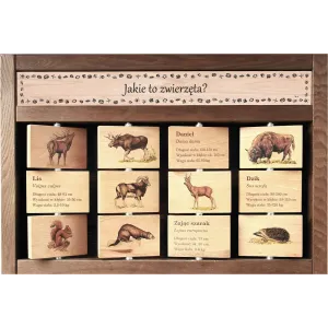 Zestaw interaktywny WEWNĘTRZNY - JAKIE TO ZWIERZĘTA?