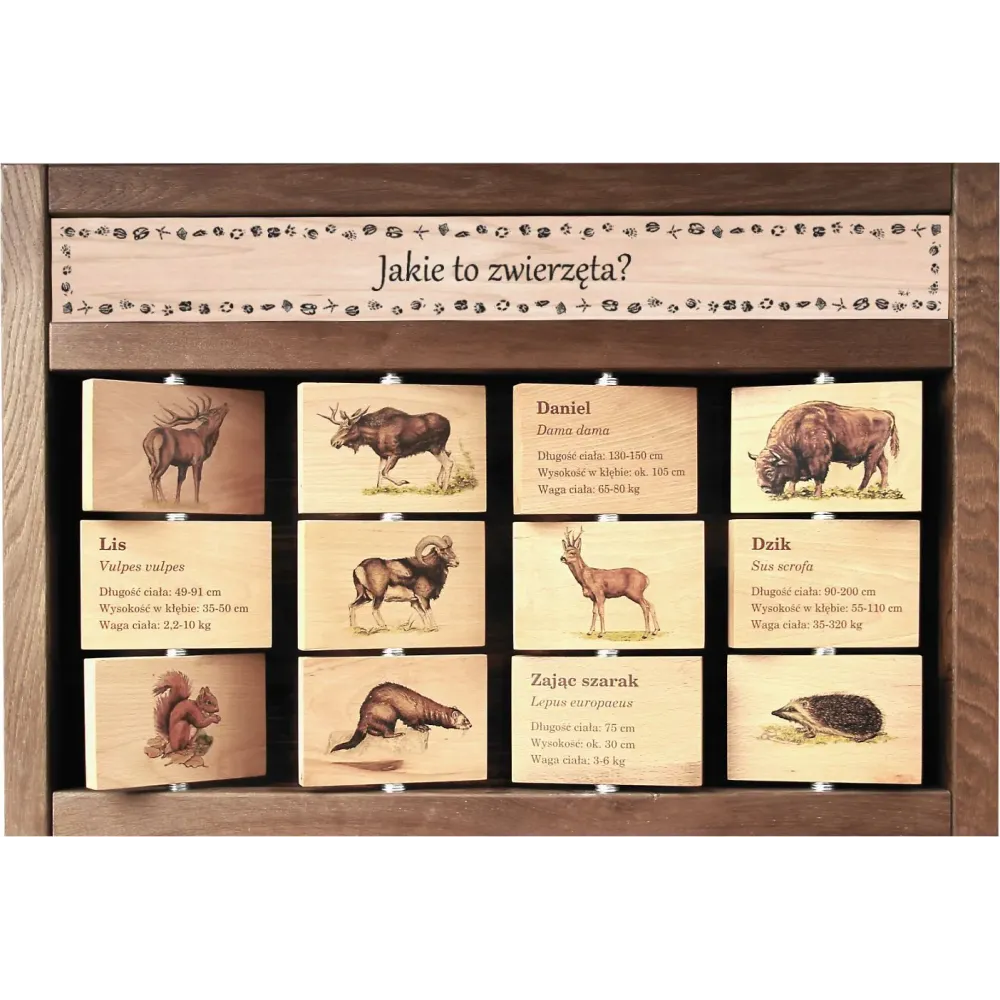 Zestaw interaktywny WEWNĘTRZNY - JAKIE TO ZWIERZĘTA?