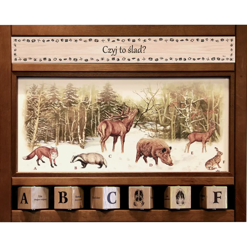 Zestaw interaktywny WEWNĘTRZNY - CZYJ TO ŚLAD?