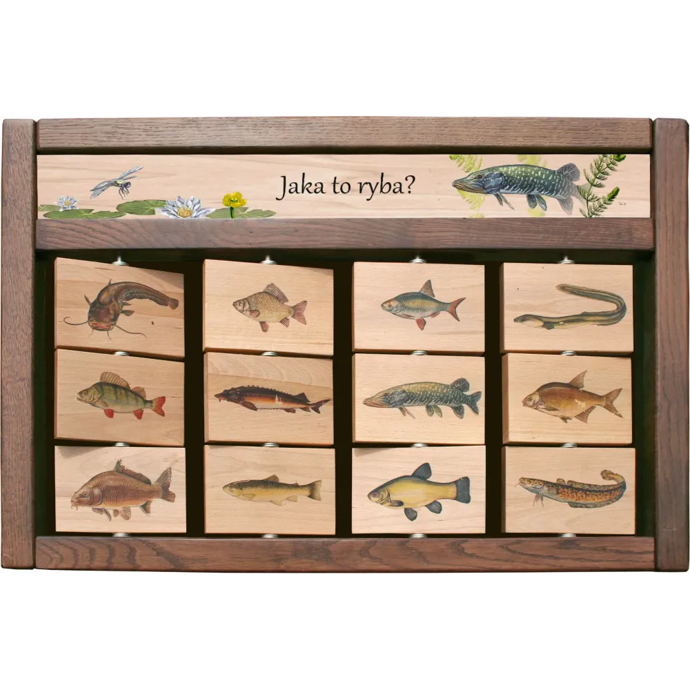 Zestaw interaktywny WEWNĘTRZNY - JAKA TO RYBA?