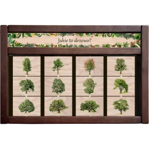 Zestaw interaktywny WEWNĘTRZNY - JAKIE TO DRZEWO? (wersja druga)