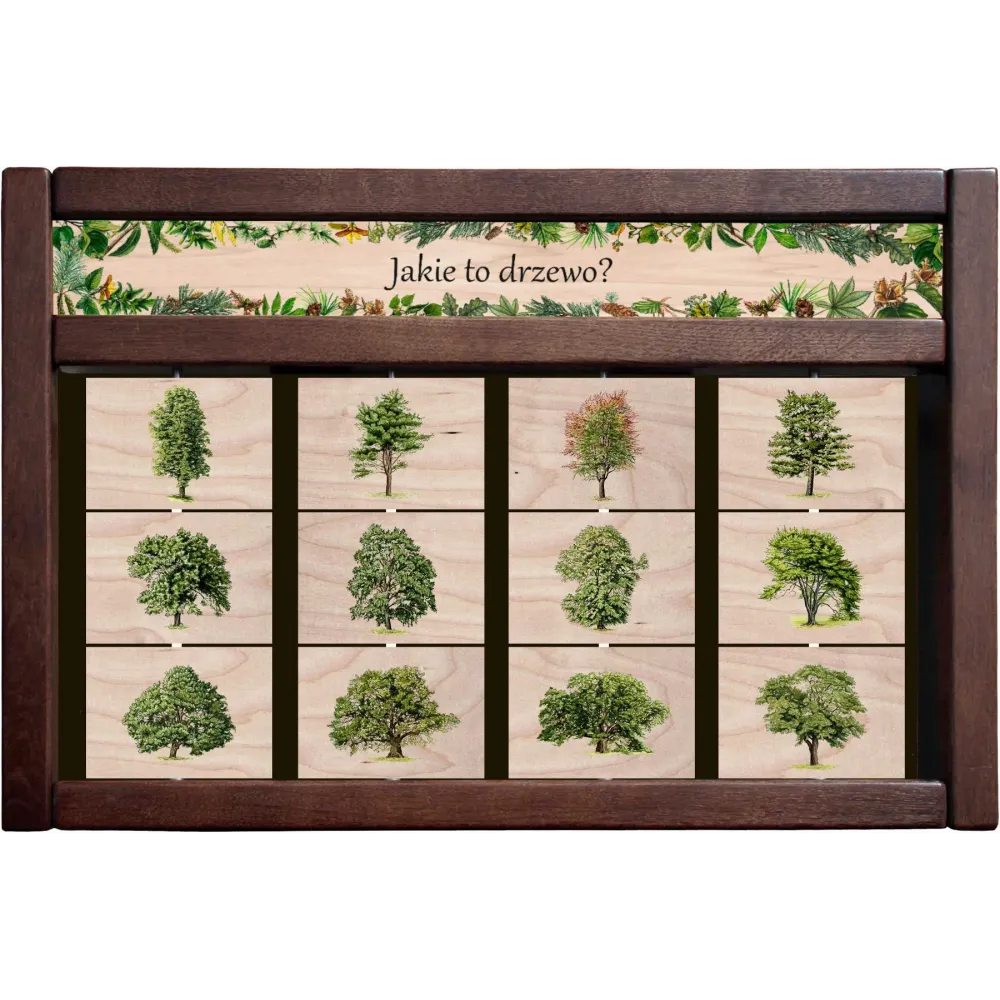 Zestaw interaktywny WEWNĘTRZNY - JAKIE TO DRZEWO? (wersja druga)