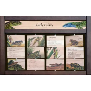 Zestaw interaktywny WEWNĘTRZNY - GADY I PŁAZY