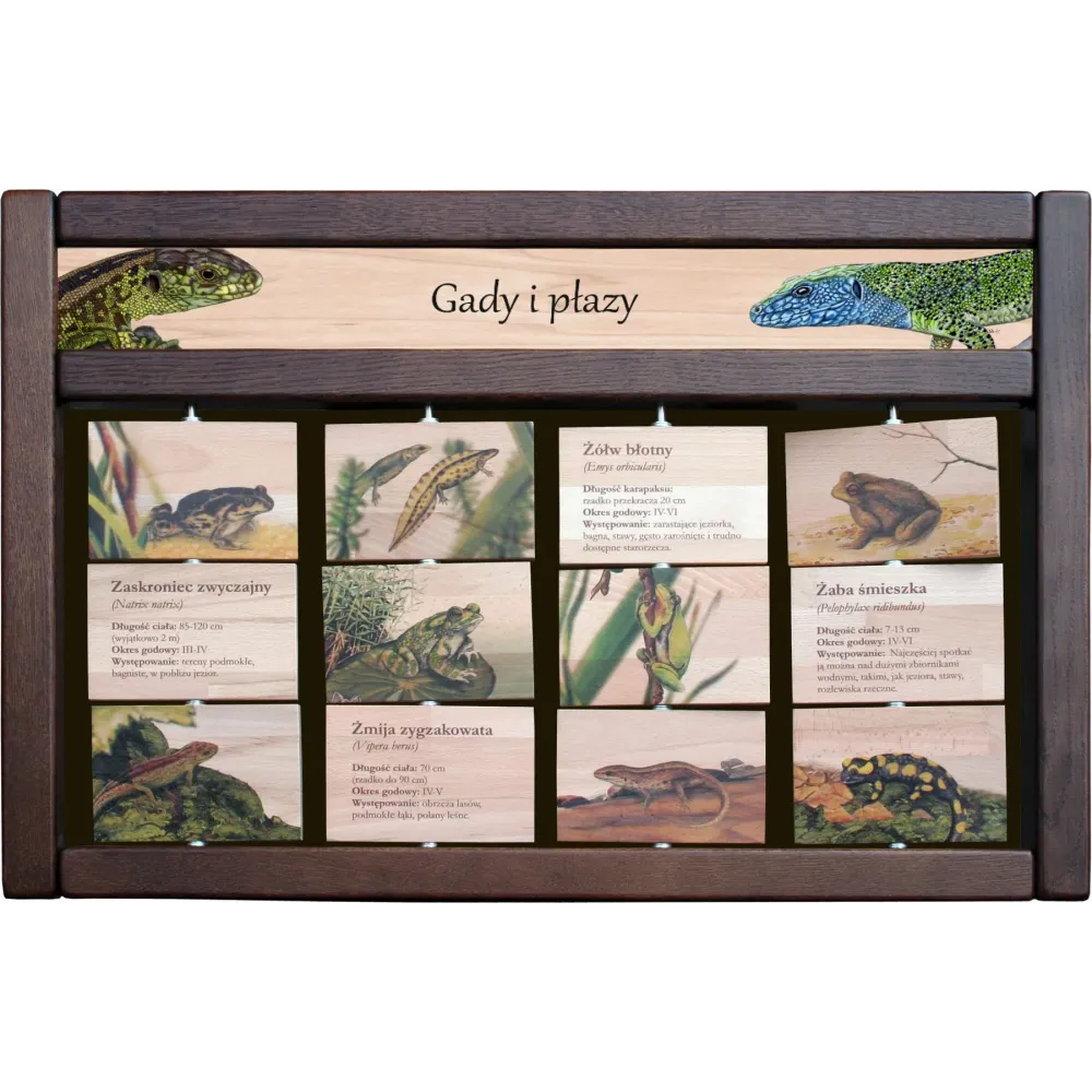 Zestaw interaktywny WEWNĘTRZNY - GADY I PŁAZY