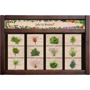 Zestaw interaktywny WEWNĘTRZNY - JAKI TO KRZEW?