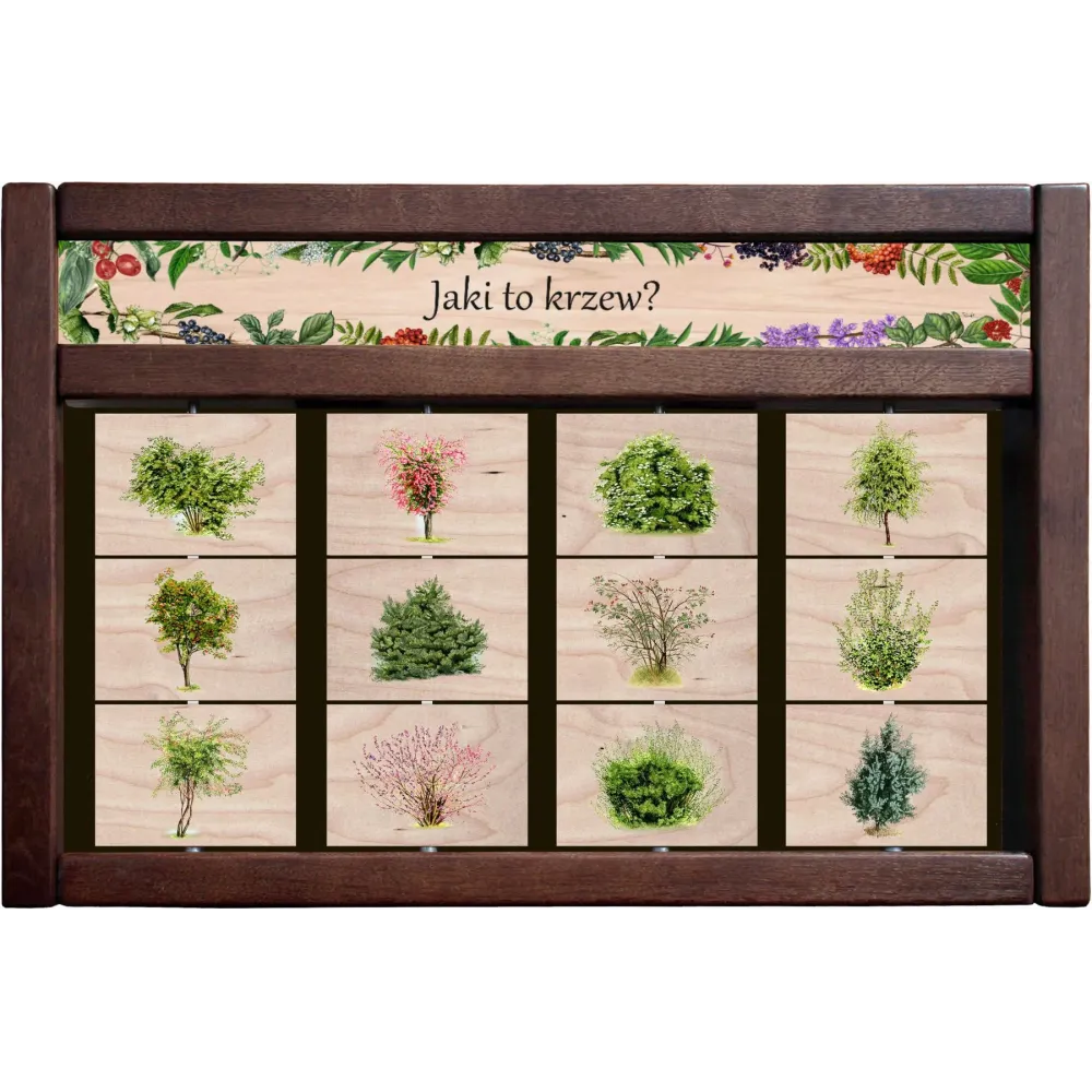 Zestaw interaktywny WEWNĘTRZNY - JAKI TO KRZEW?