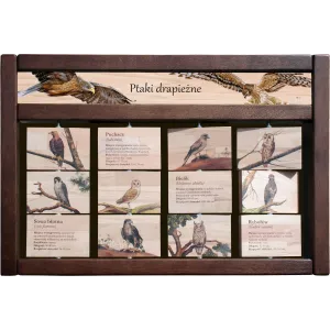 Zestaw interaktywny WEWNĘTRZNY - PTAKI DRAPIEŻNE