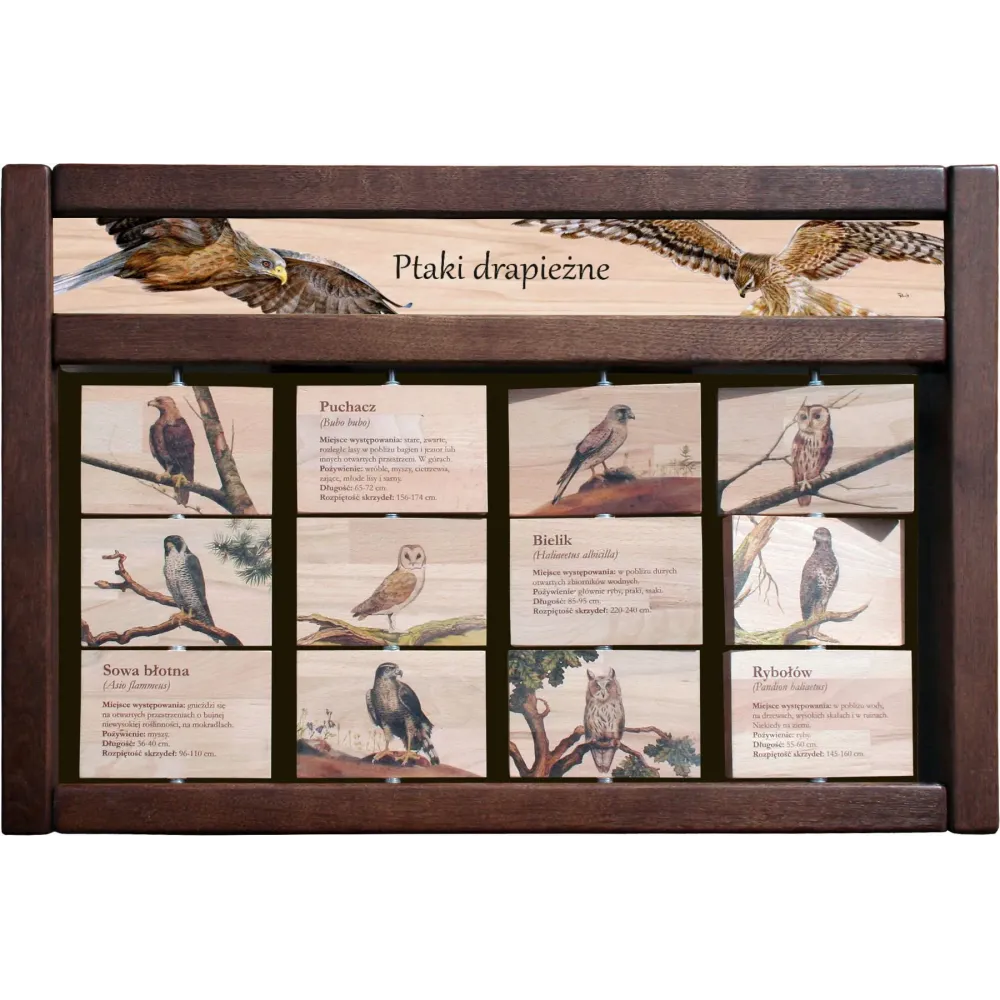 Zestaw interaktywny WEWNĘTRZNY - PTAKI DRAPIEŻNE