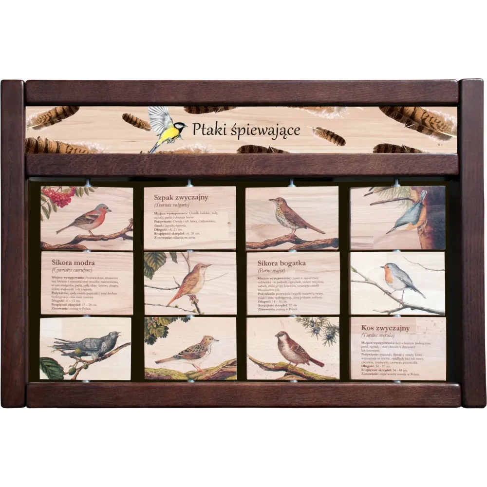 Zestaw interaktywny WEWNĘTRZNY - PTAKI ŚPIEWAJĄCE