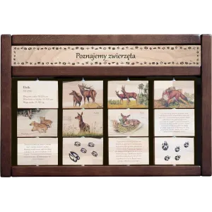 Zestaw Interaktywny WEWNĘTRZNY - POZNAJEMY ZWIERZĘTA