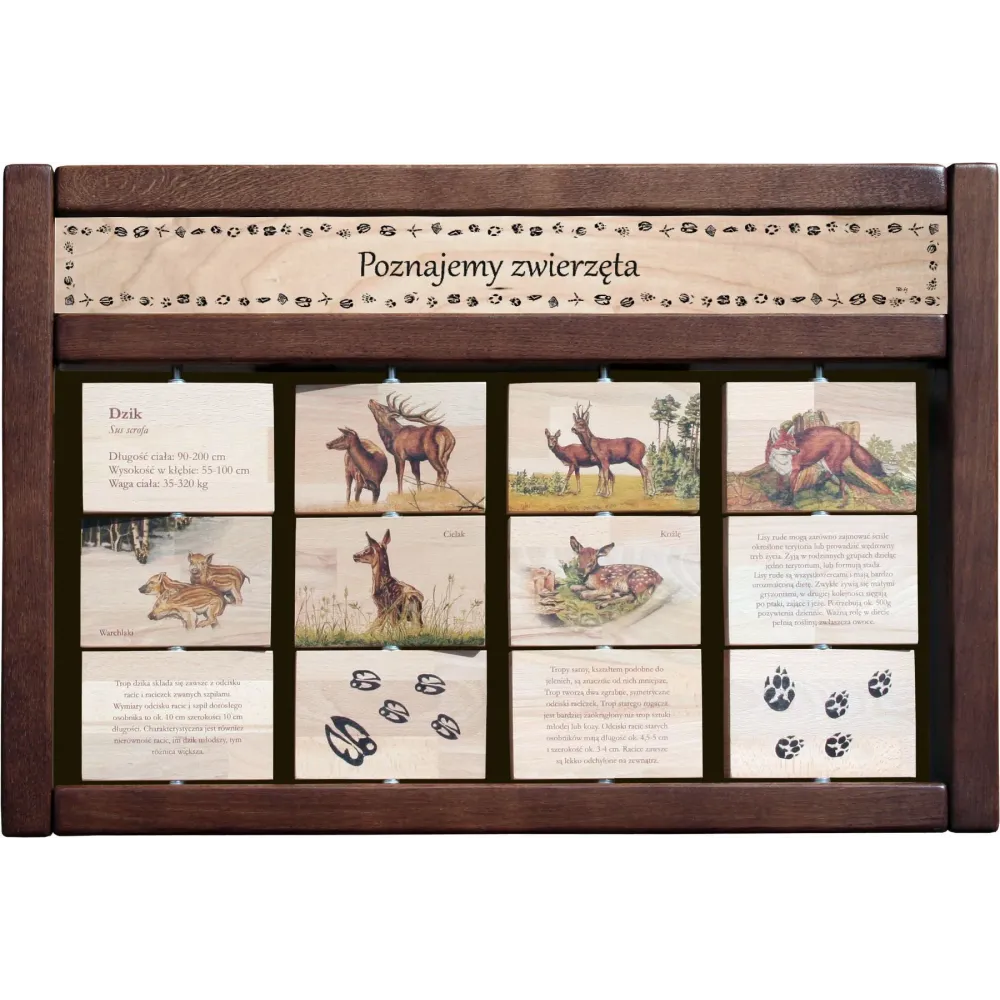 Zestaw Interaktywny WEWNĘTRZNY - POZNAJEMY ZWIERZĘTA