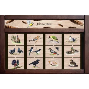 Zestaw interaktywny WEWNĘTRZNY - JAKI TO PTAK? (wersja druga)