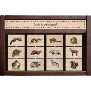 Zestaw interaktywny WEWNĘTRZNY - JAKIE TO ZWIERZĘTA?