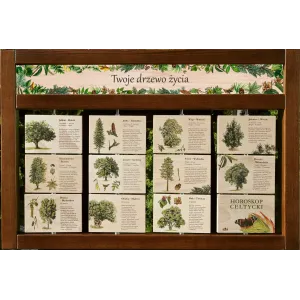 Zestaw interaktywny WEWNĘTRZNY - TWOJE DRZEWO ŻYCIA